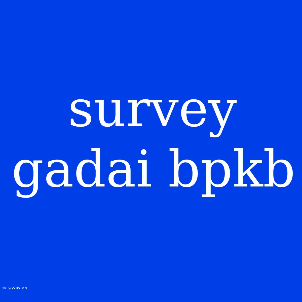 Survey Gadai Bpkb