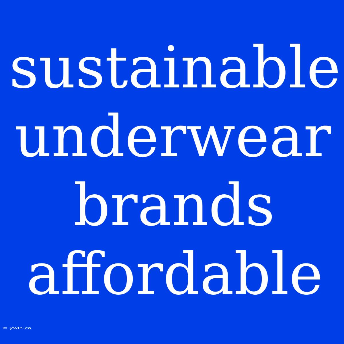 Sustainable Underwear Brands Affordable