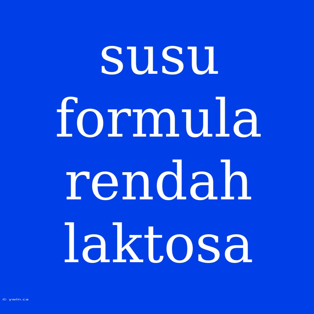 Susu Formula Rendah Laktosa