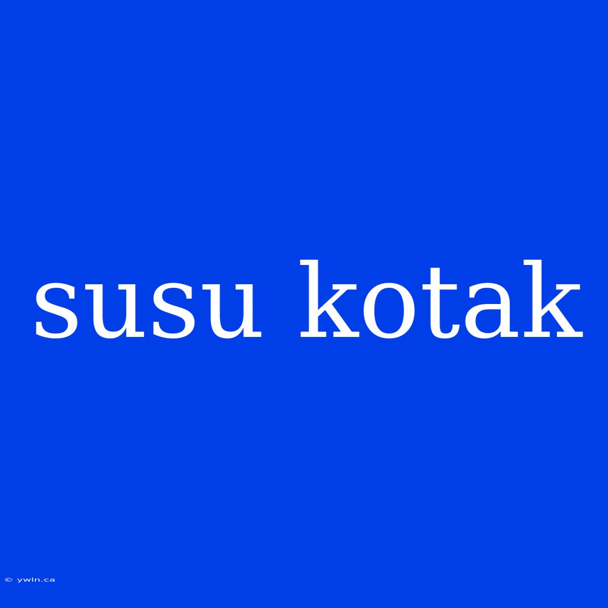 Susu Kotak