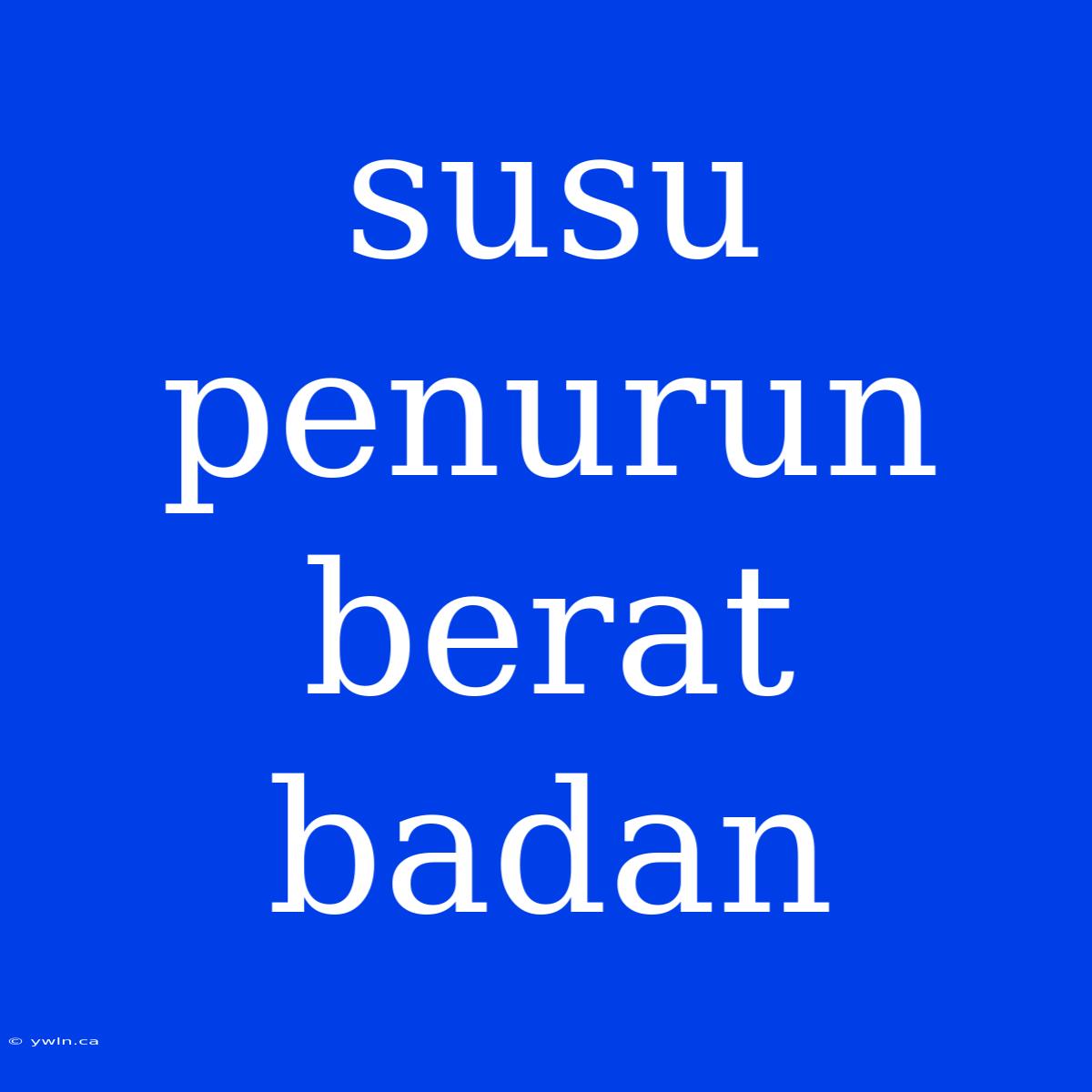 Susu Penurun Berat Badan