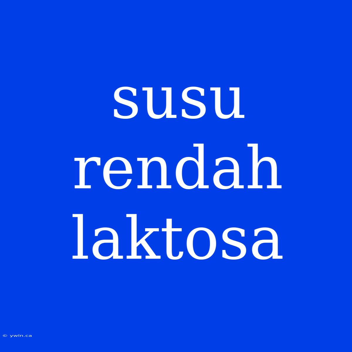 Susu Rendah Laktosa