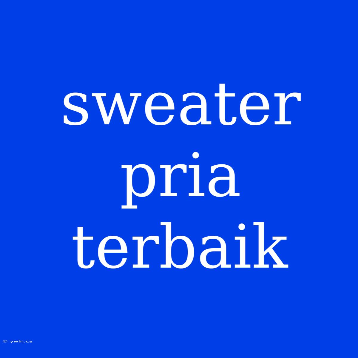 Sweater Pria Terbaik