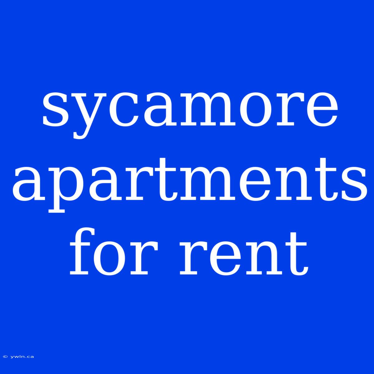 Sycamore Apartments For Rent