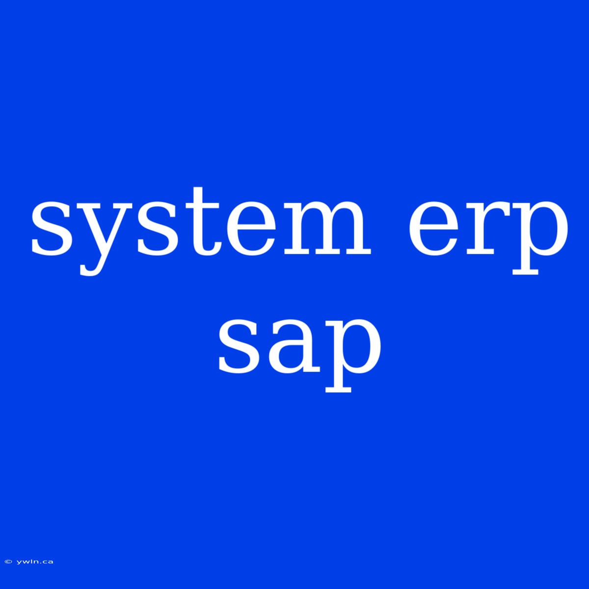 System Erp Sap