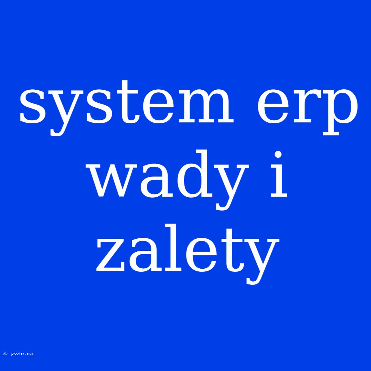 System Erp Wady I Zalety