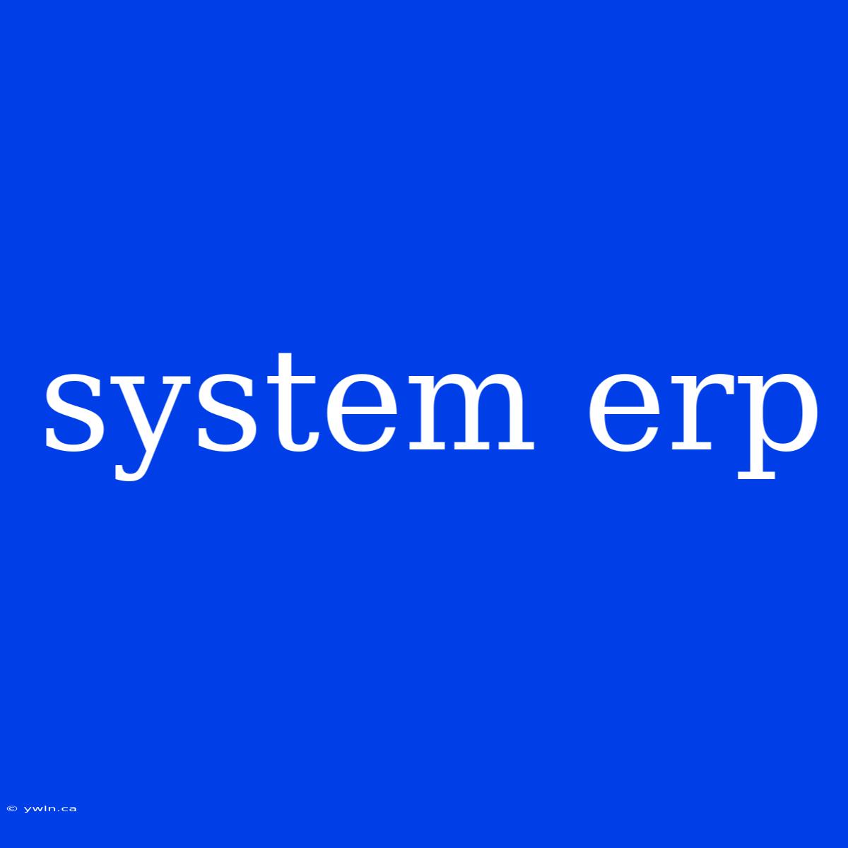 System Erp