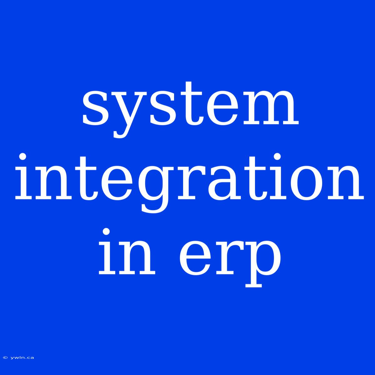 System Integration In Erp