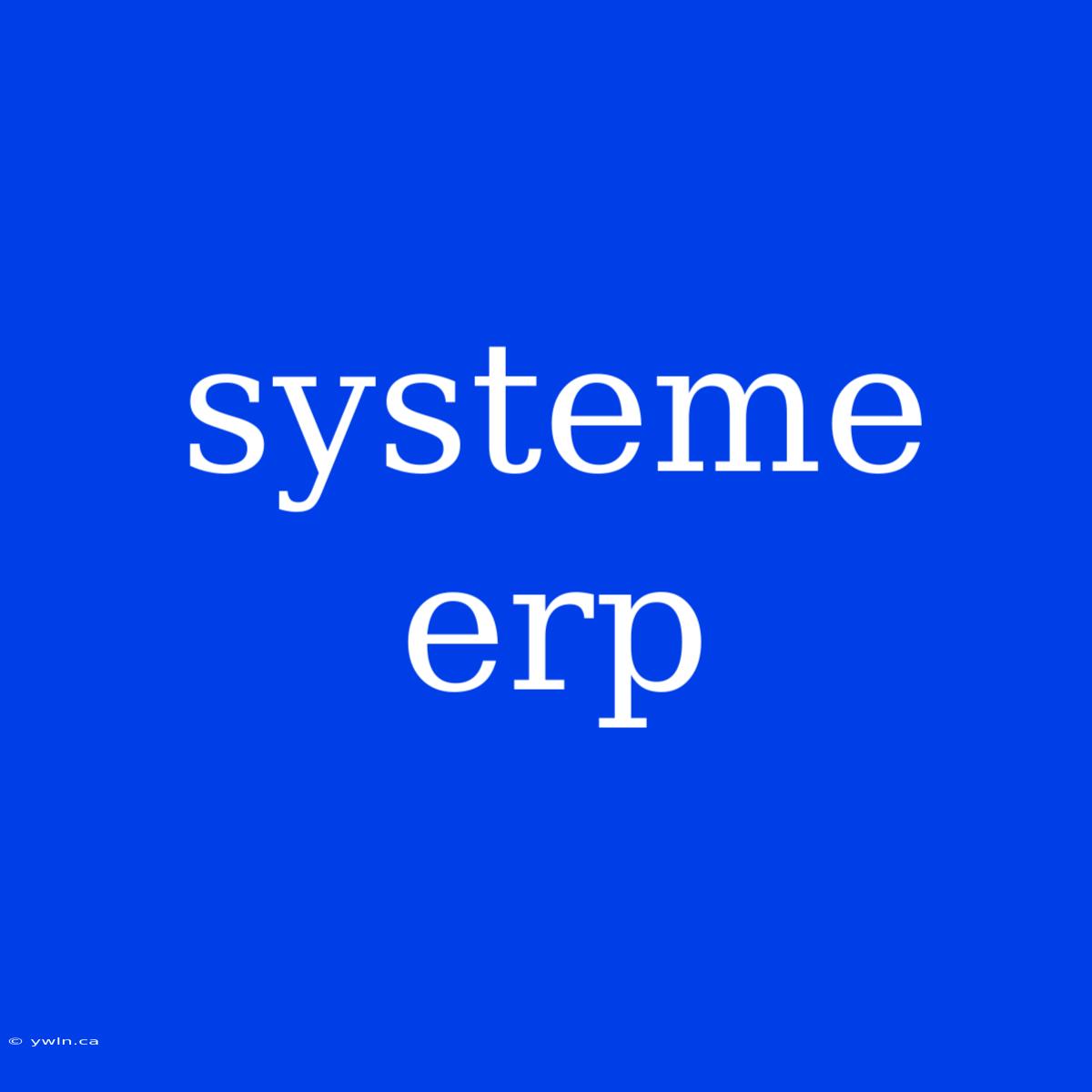 Systeme Erp