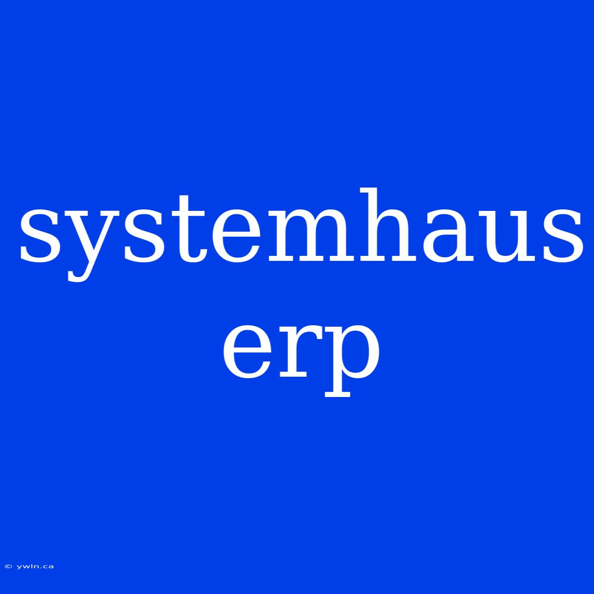 Systemhaus Erp