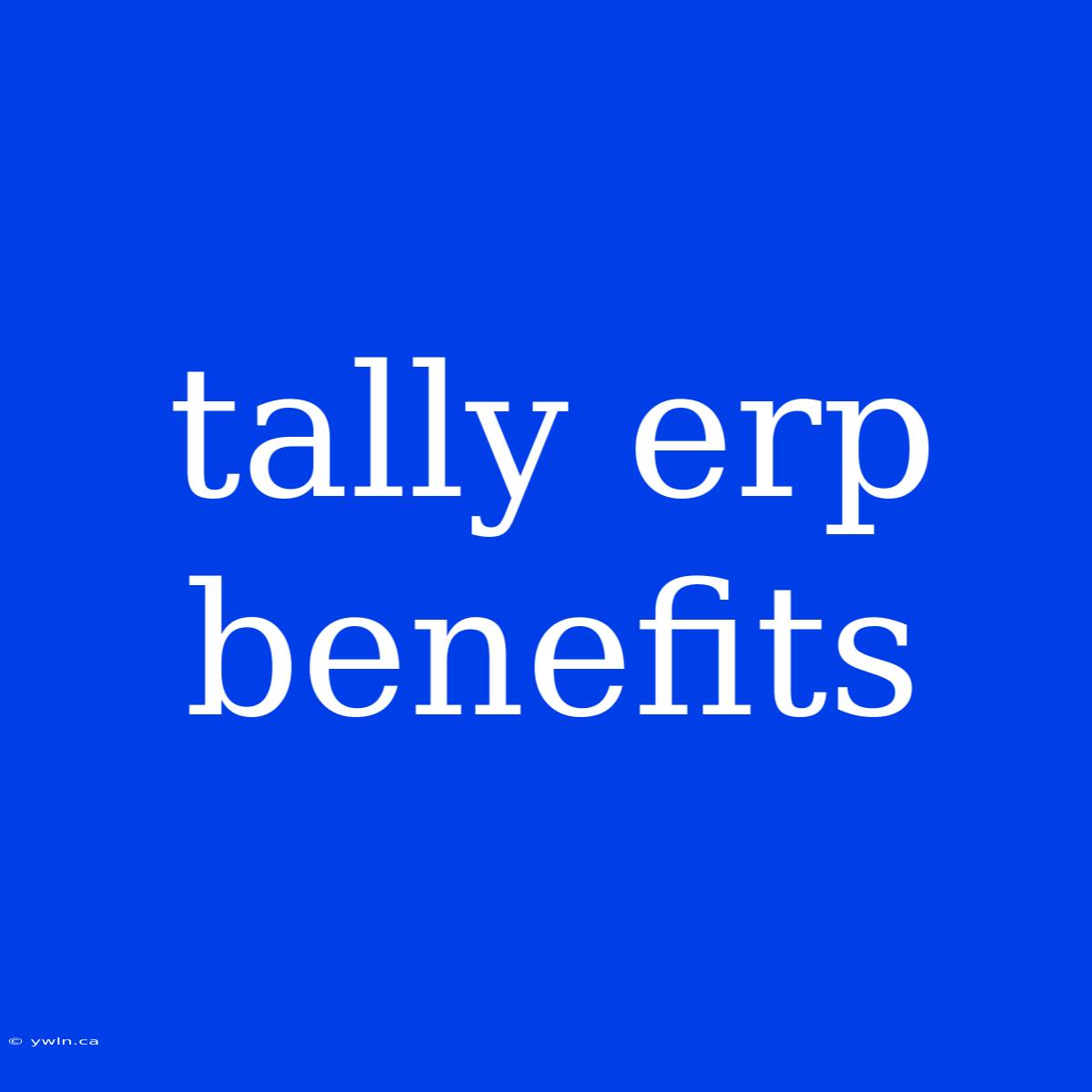 Tally Erp Benefits