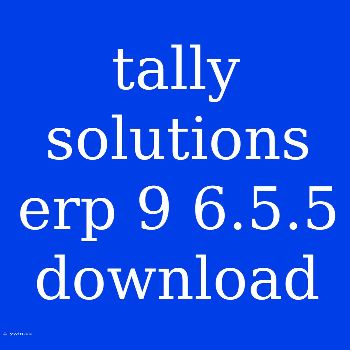 Tally Solutions Erp 9 6.5.5 Download