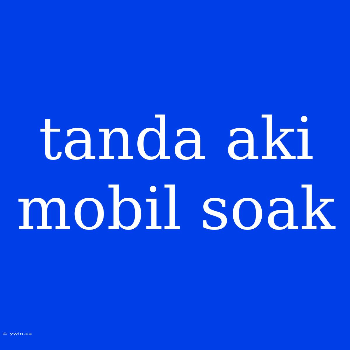 Tanda Aki Mobil Soak