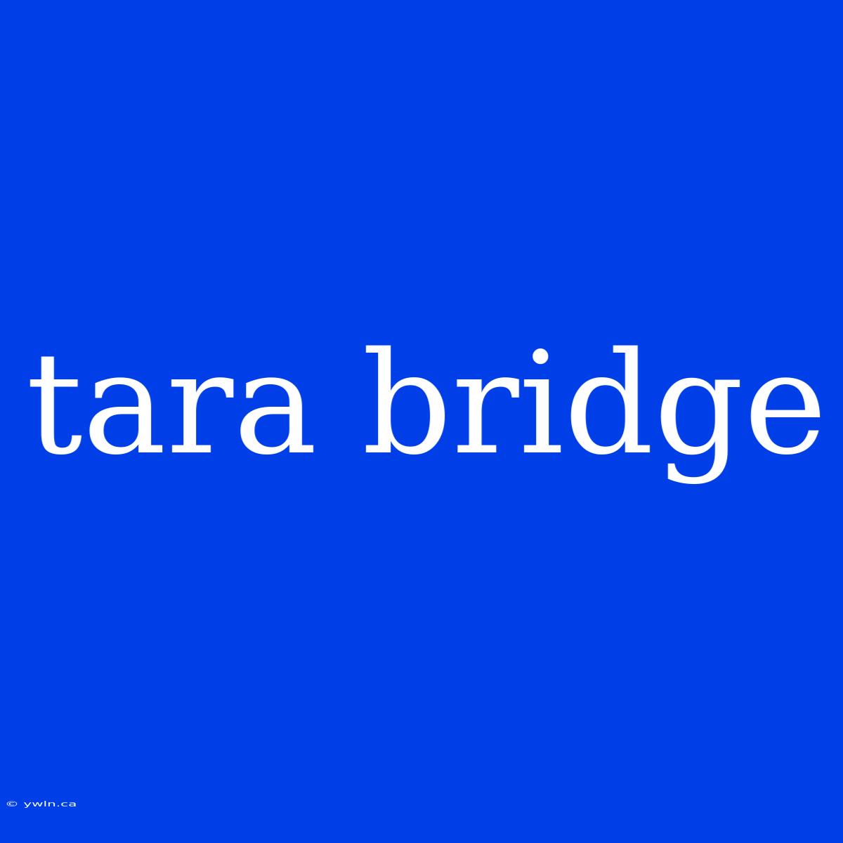 Tara Bridge