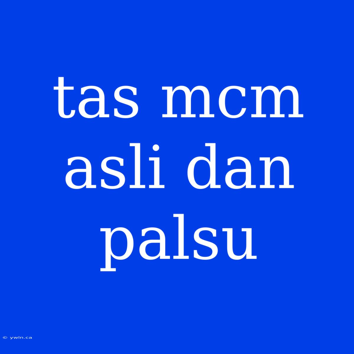 Tas Mcm Asli Dan Palsu