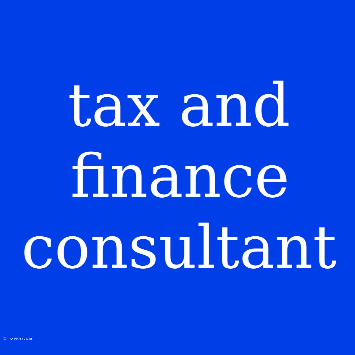 Tax And Finance Consultant