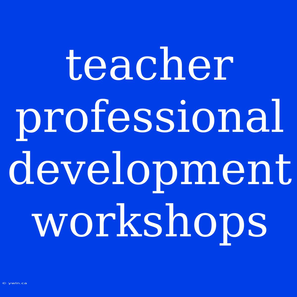 Teacher Professional Development Workshops