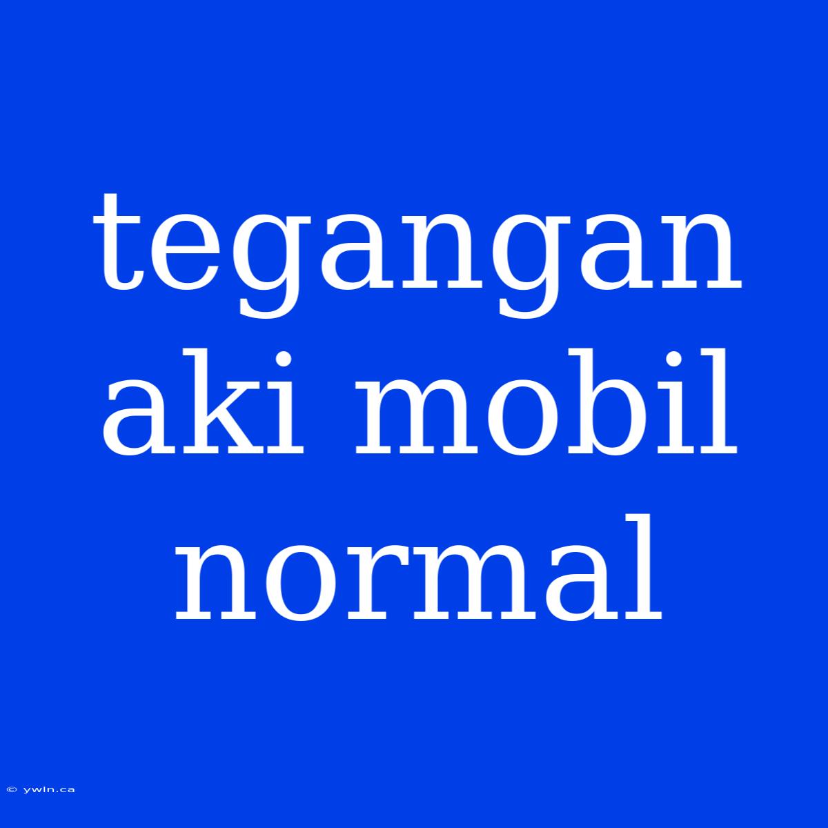 Tegangan Aki Mobil Normal