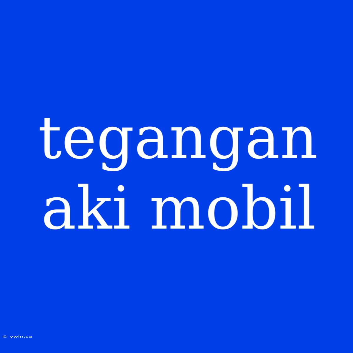 Tegangan Aki Mobil