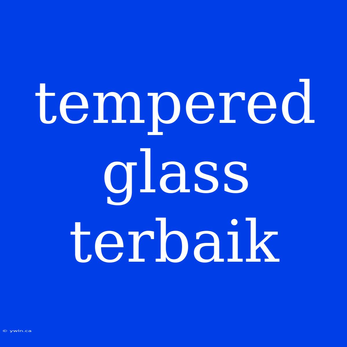 Tempered Glass Terbaik