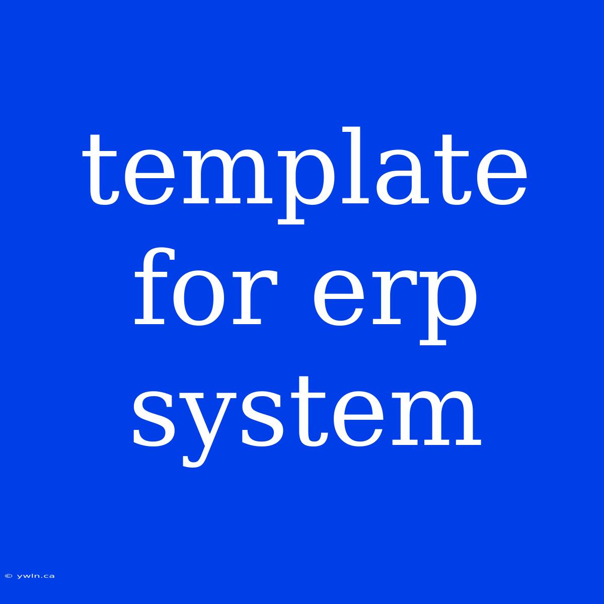 Template For Erp System