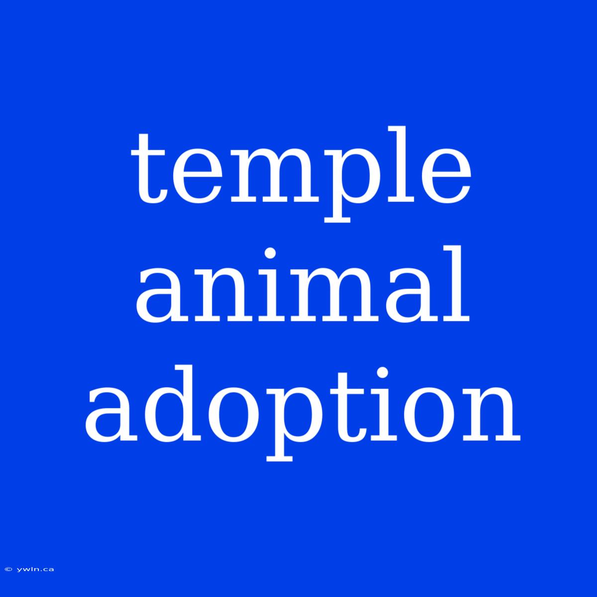 Temple Animal Adoption