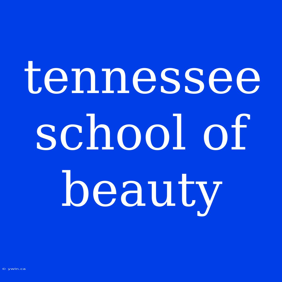 Tennessee School Of Beauty