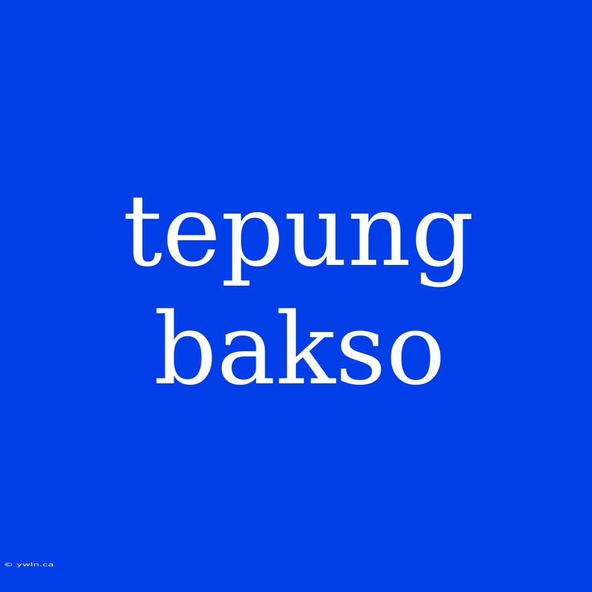 Tepung Bakso