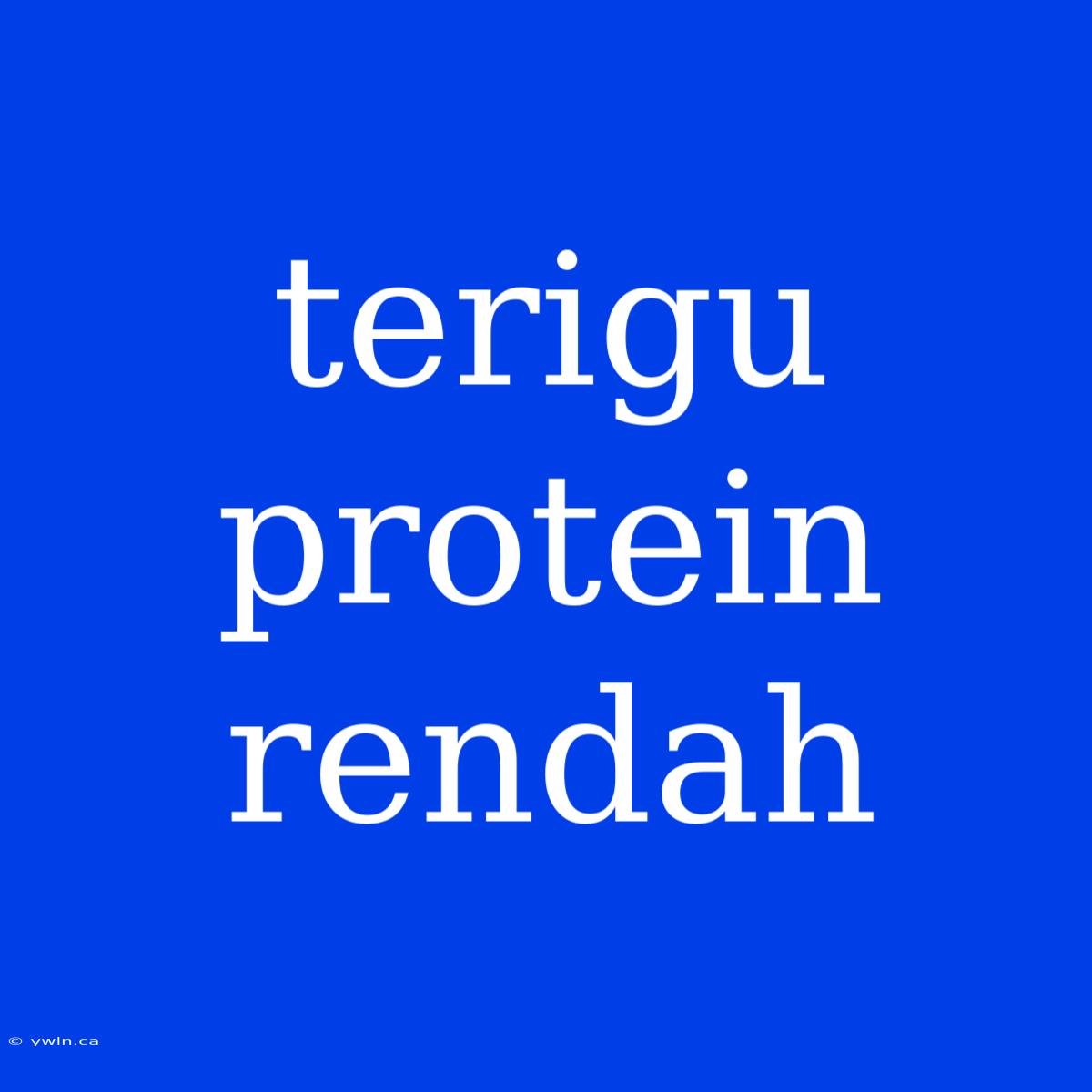 Terigu Protein Rendah