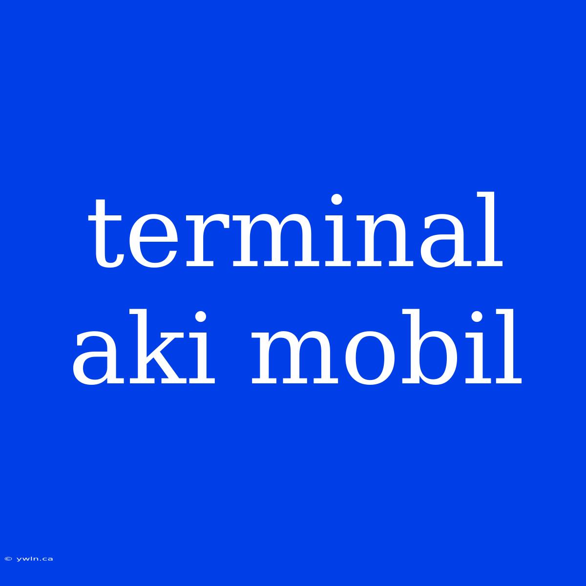 Terminal Aki Mobil