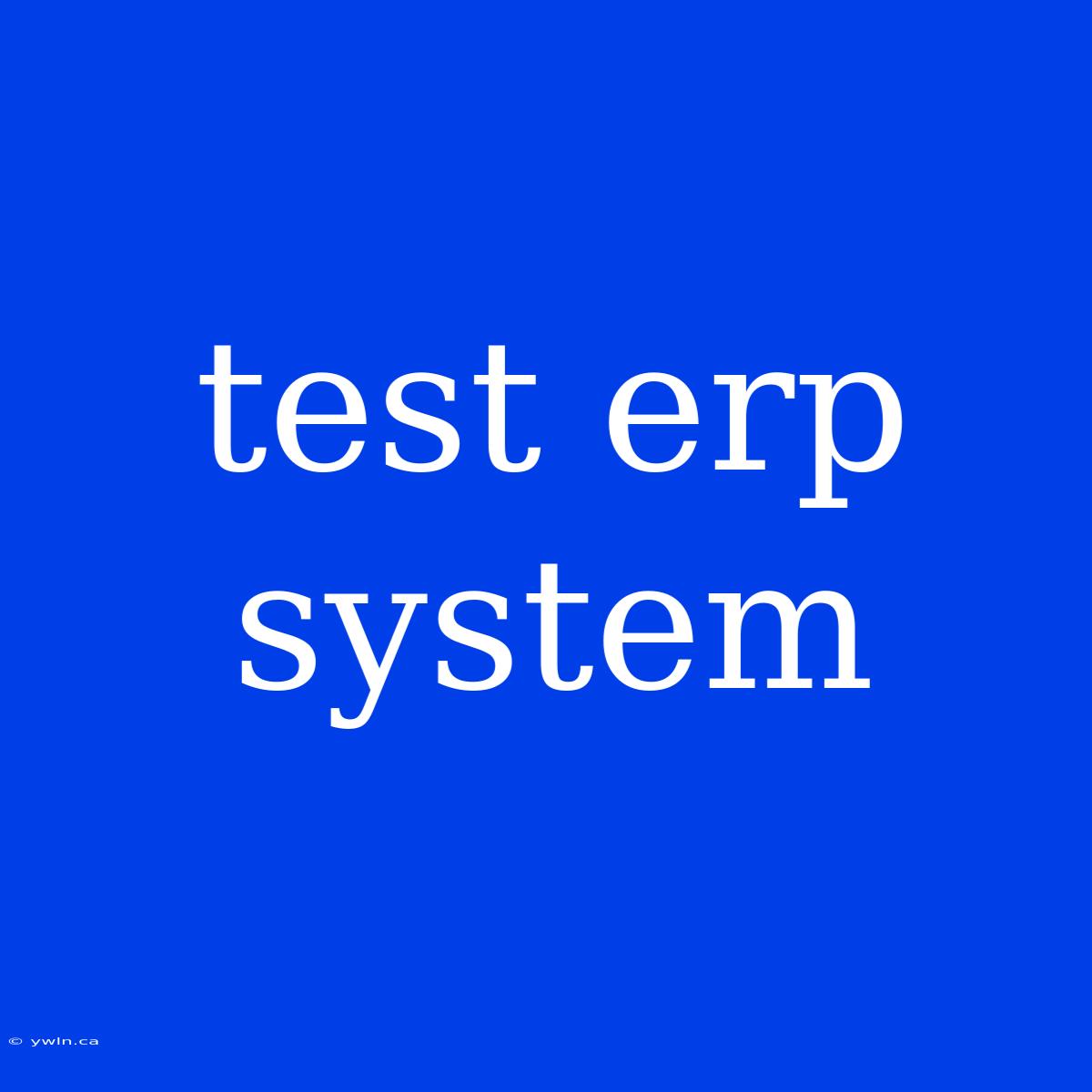 Test Erp System