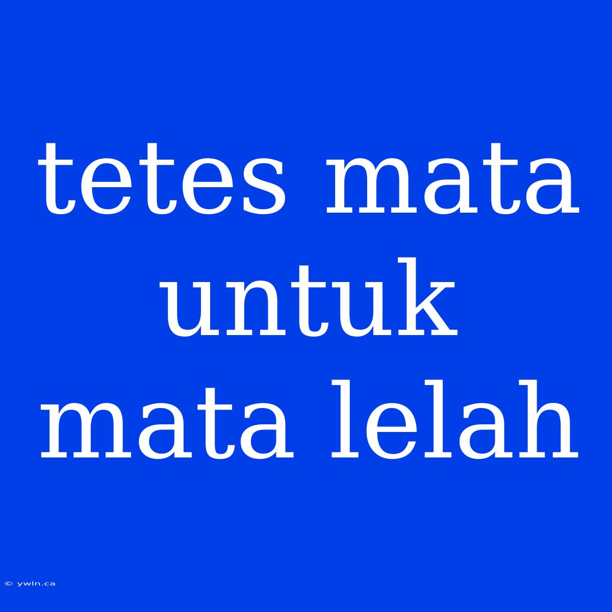 Tetes Mata Untuk Mata Lelah