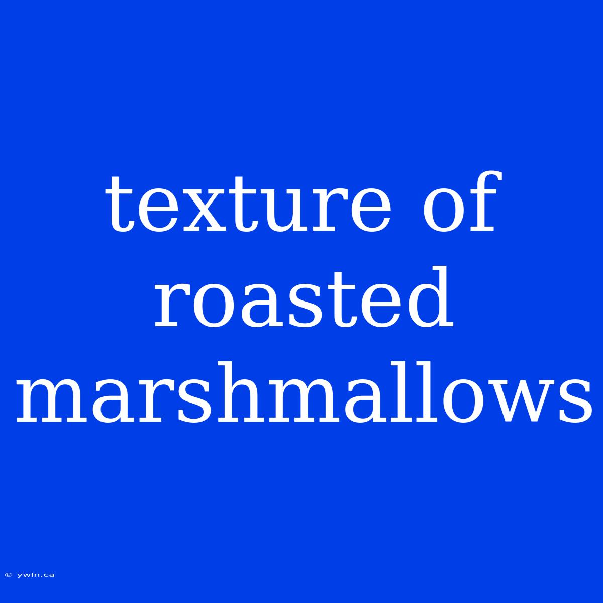 Texture Of Roasted Marshmallows