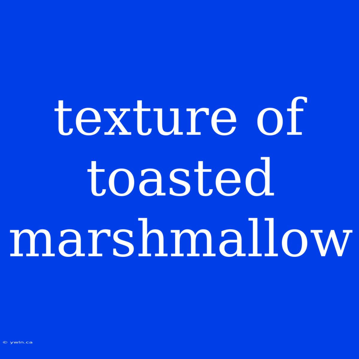 Texture Of Toasted Marshmallow