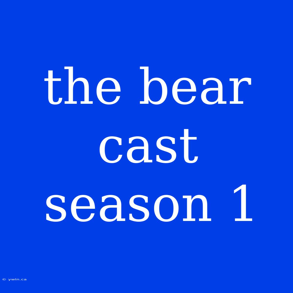 The Bear Cast Season 1