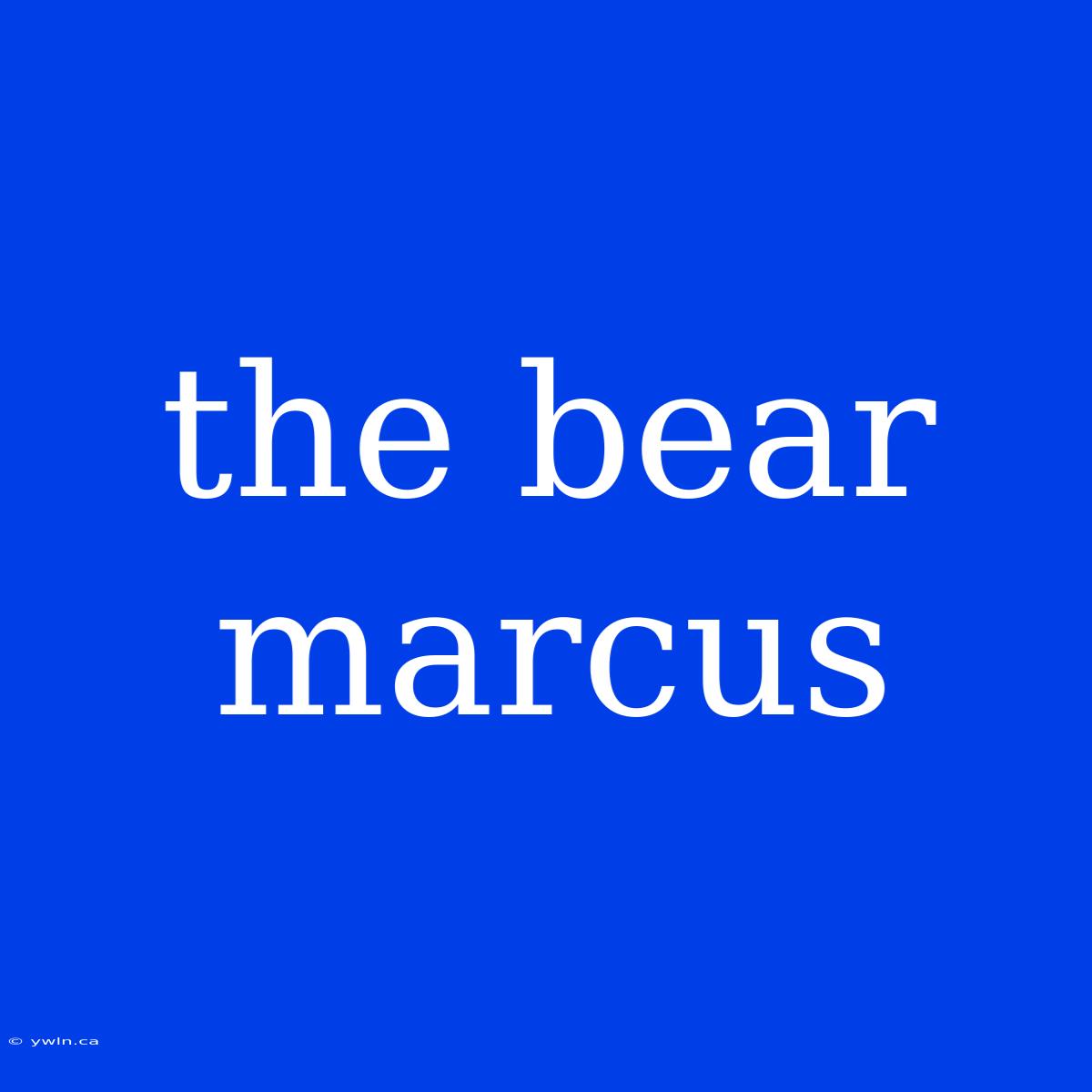 The Bear Marcus