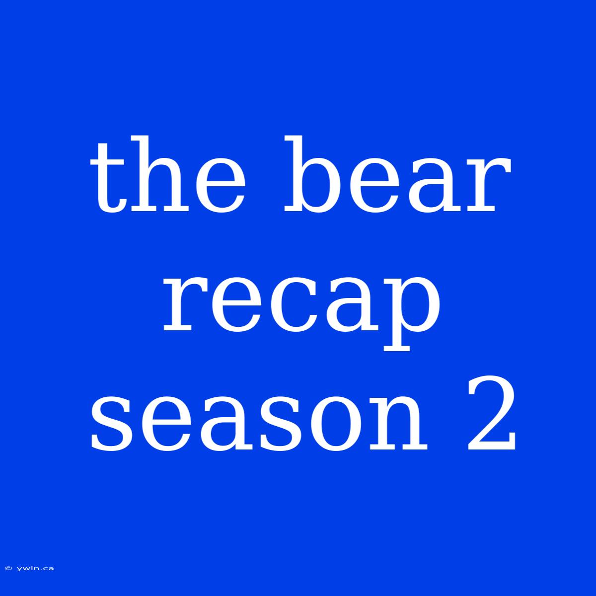 The Bear Recap Season 2