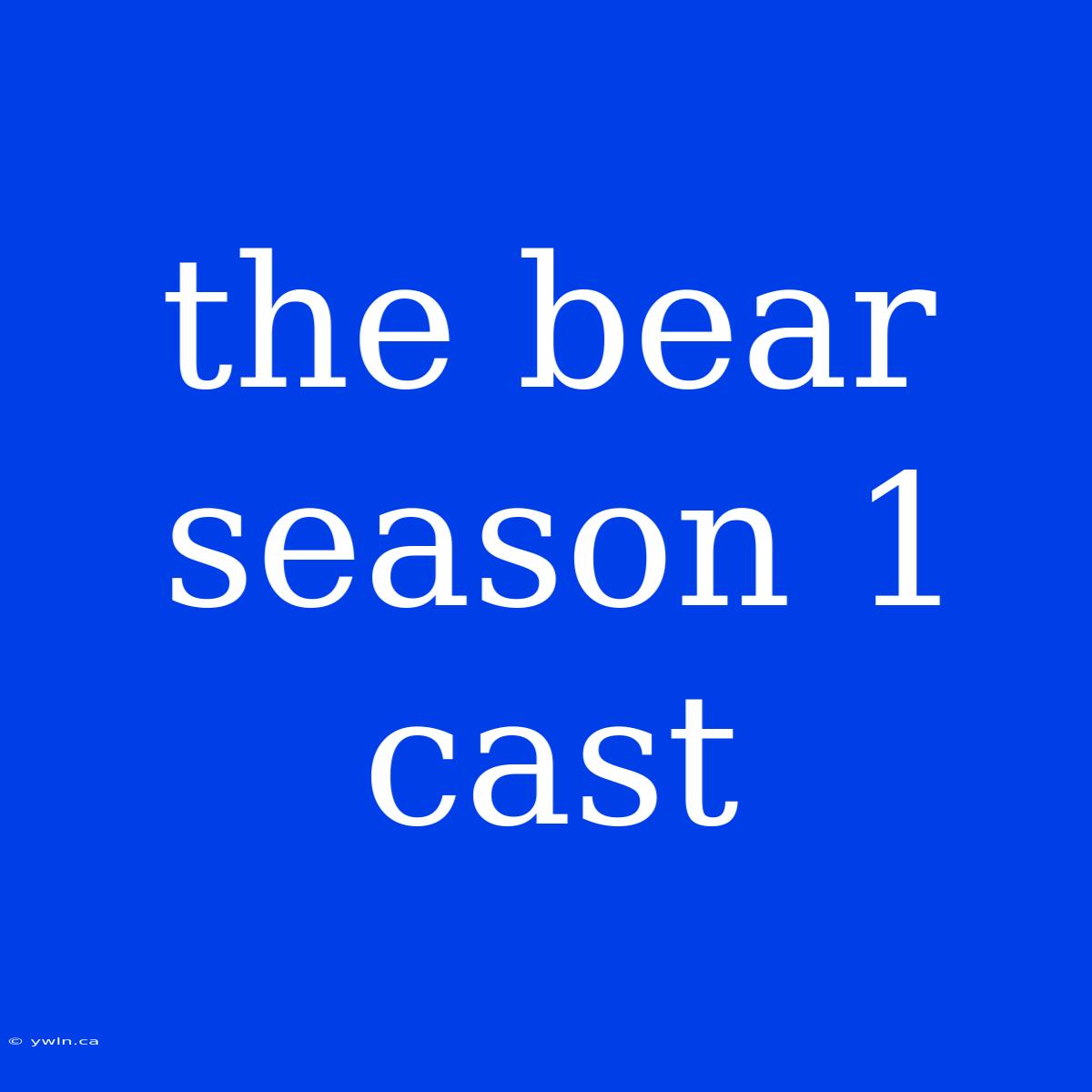 The Bear Season 1 Cast