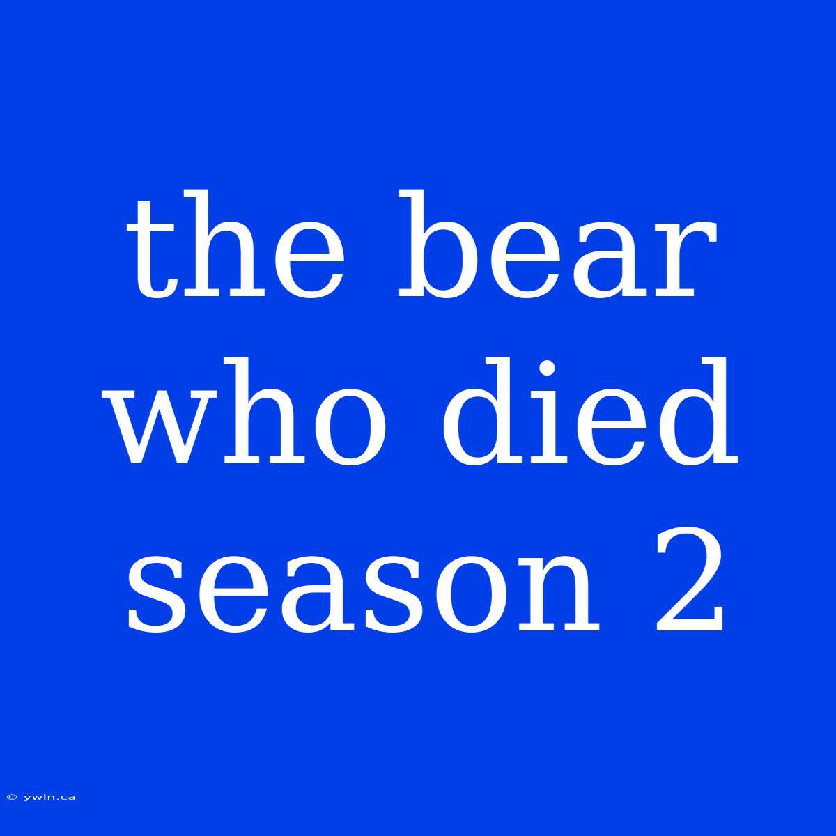 The Bear Who Died Season 2