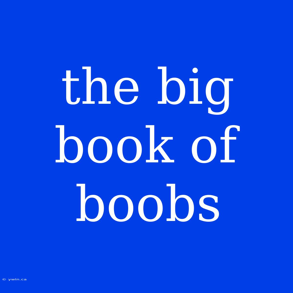 The Big Book Of Boobs