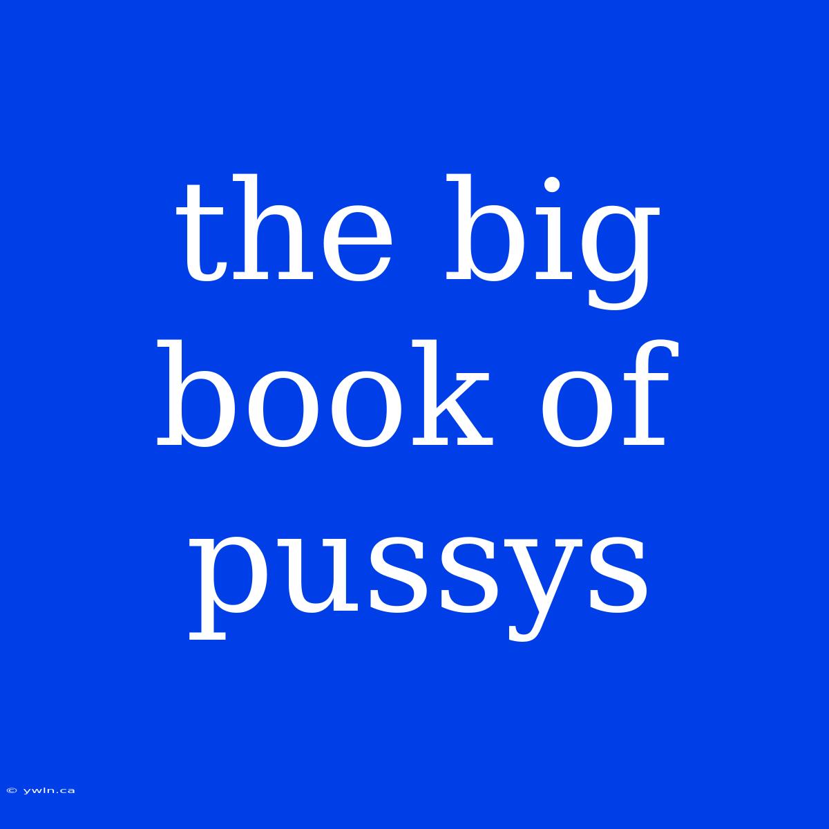 The Big Book Of Pussys