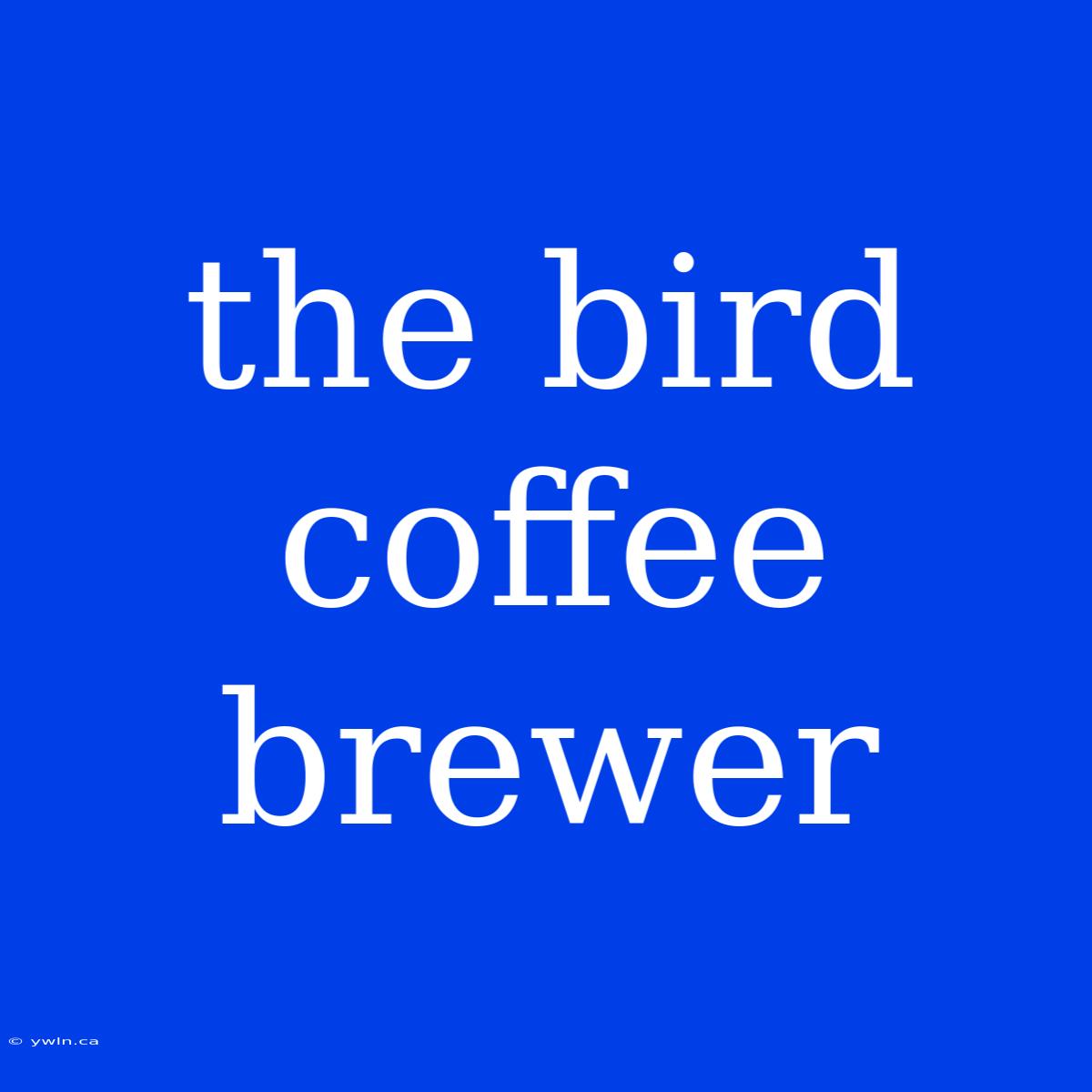 The Bird Coffee Brewer