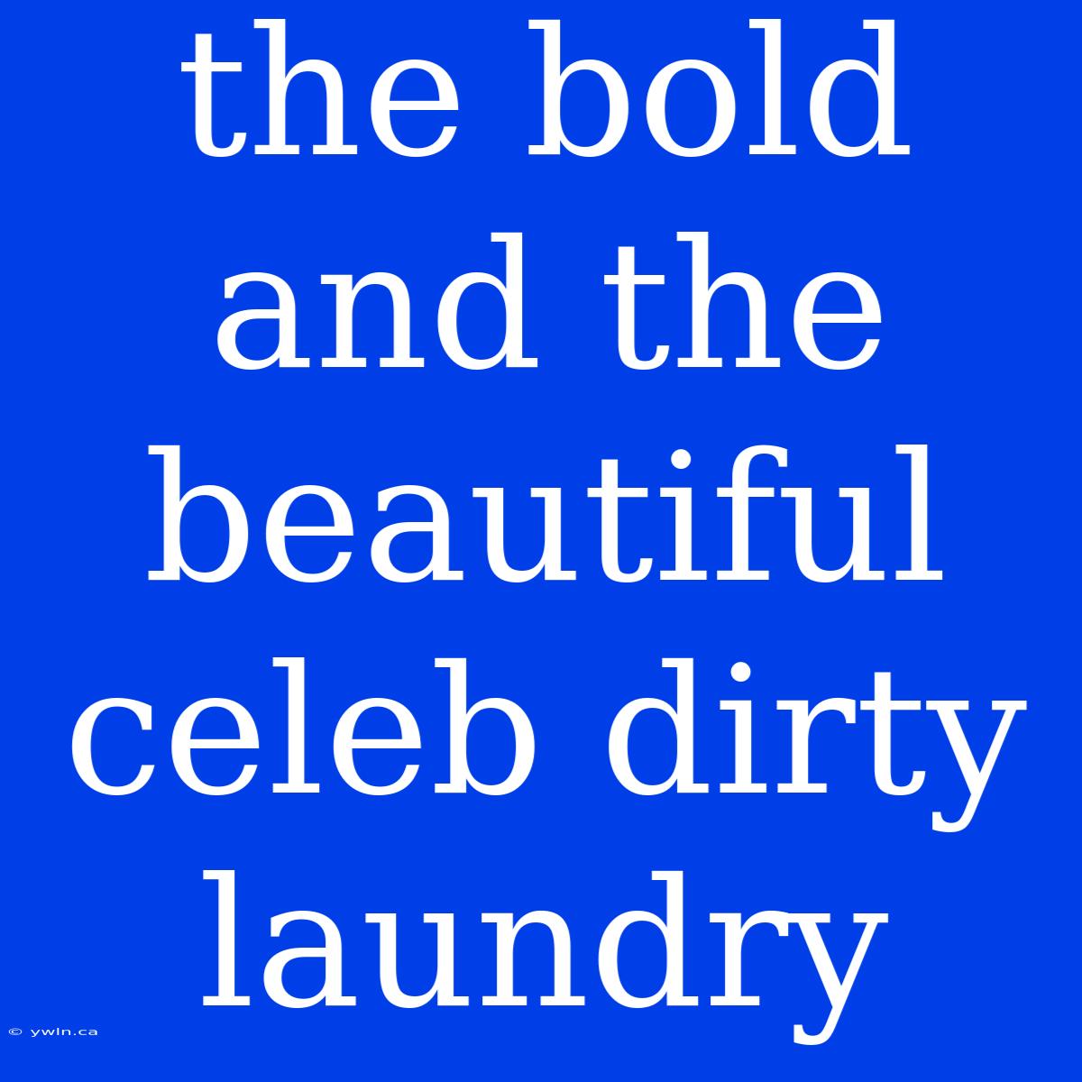 The Bold And The Beautiful Celeb Dirty Laundry