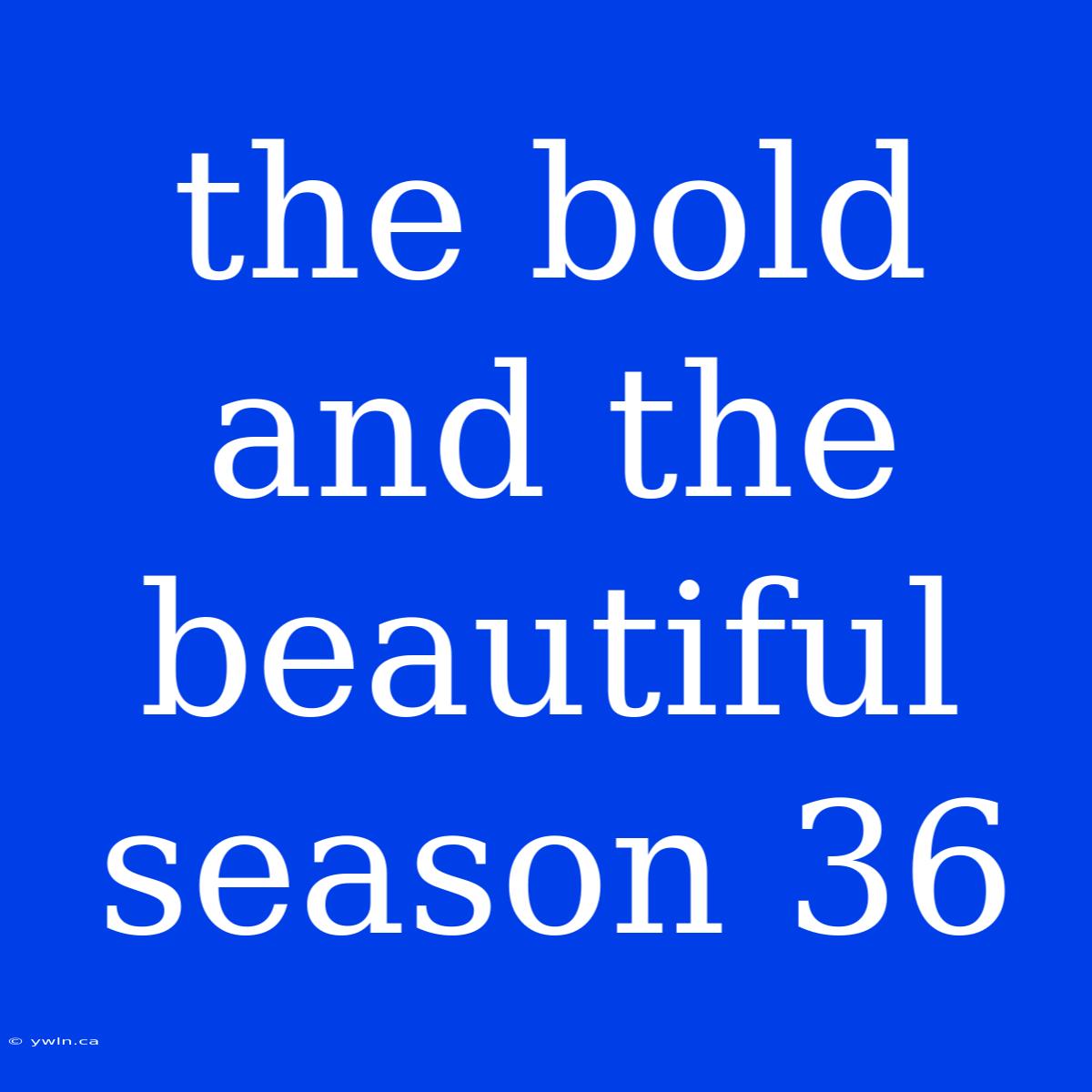 The Bold And The Beautiful Season 36