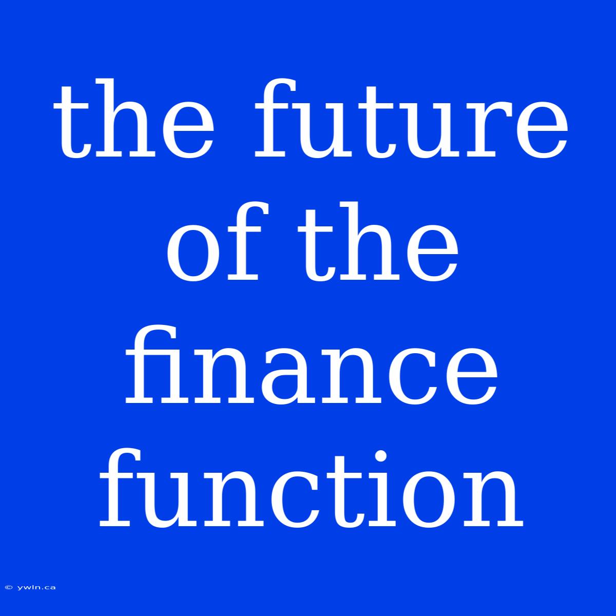 The Future Of The Finance Function