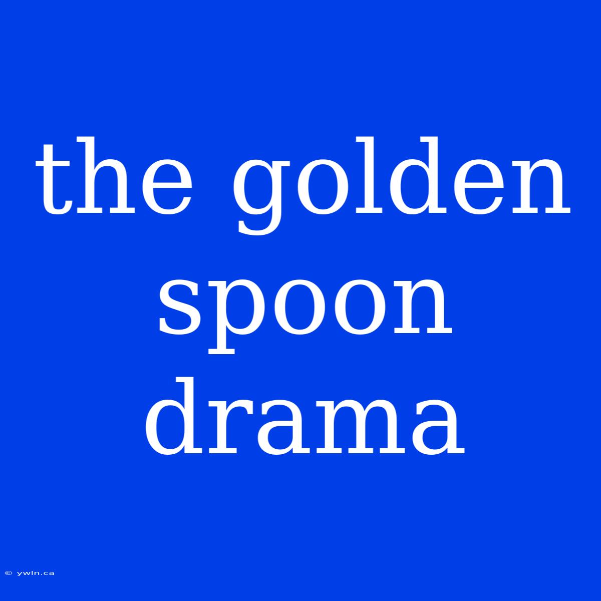 The Golden Spoon Drama