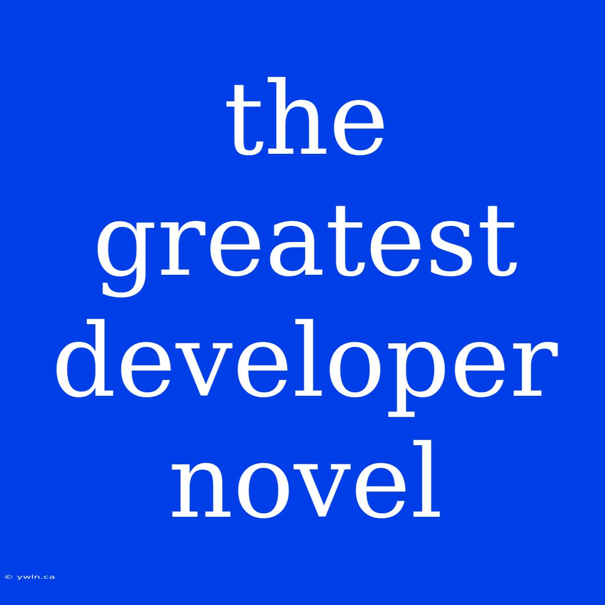 The Greatest Developer Novel