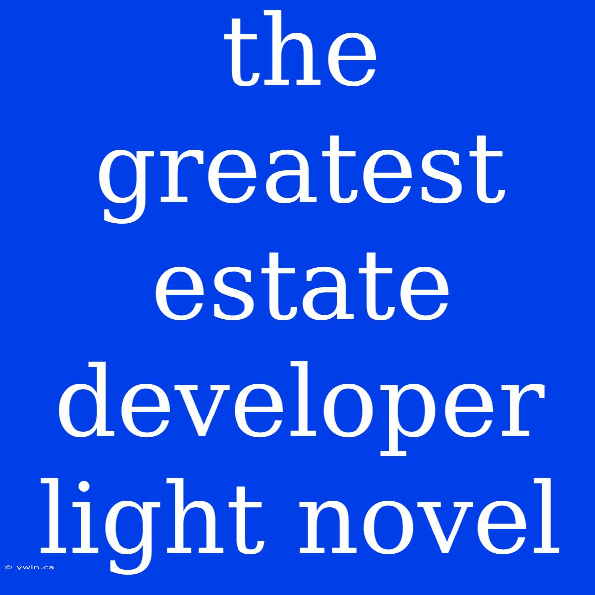 The Greatest Estate Developer Light Novel