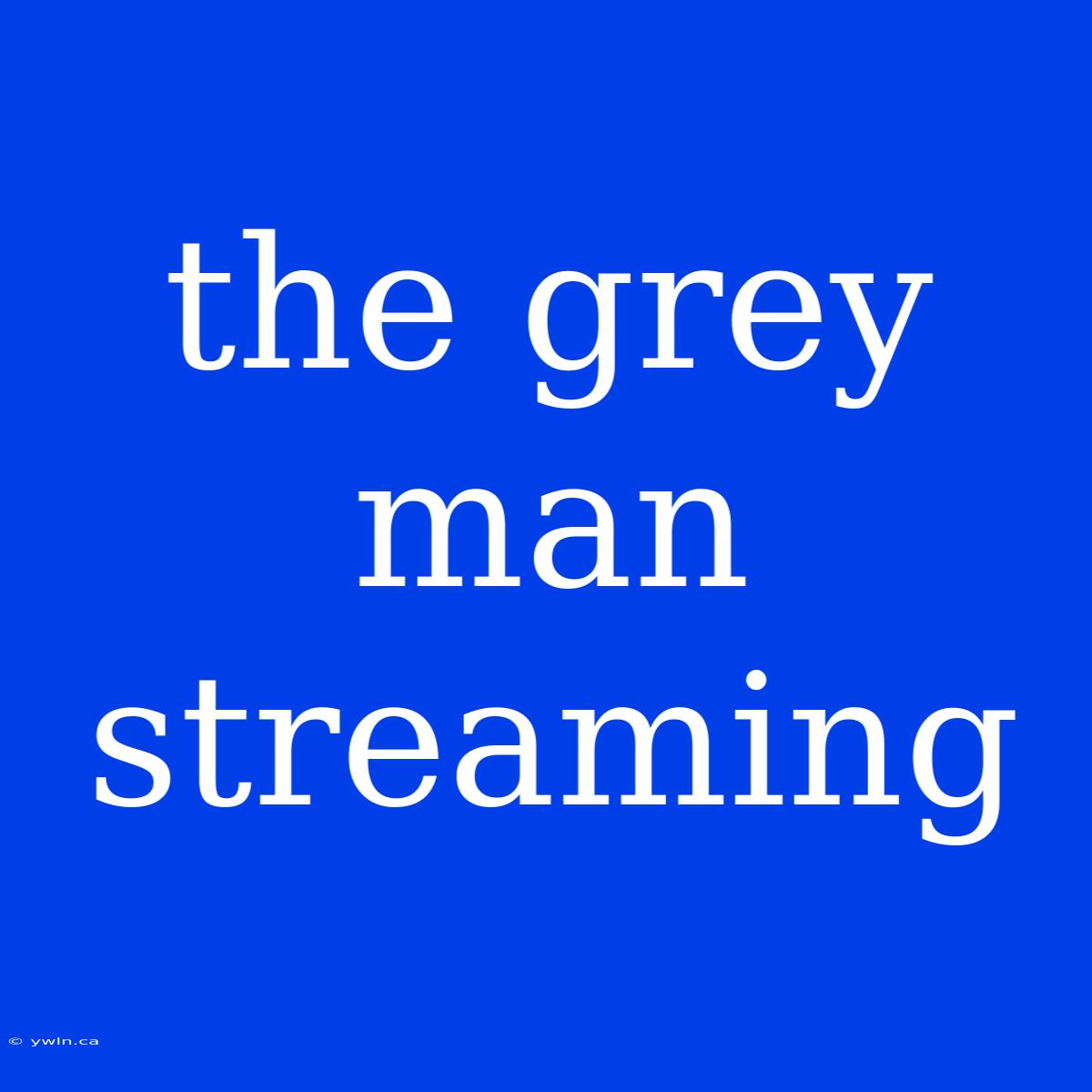 The Grey Man Streaming