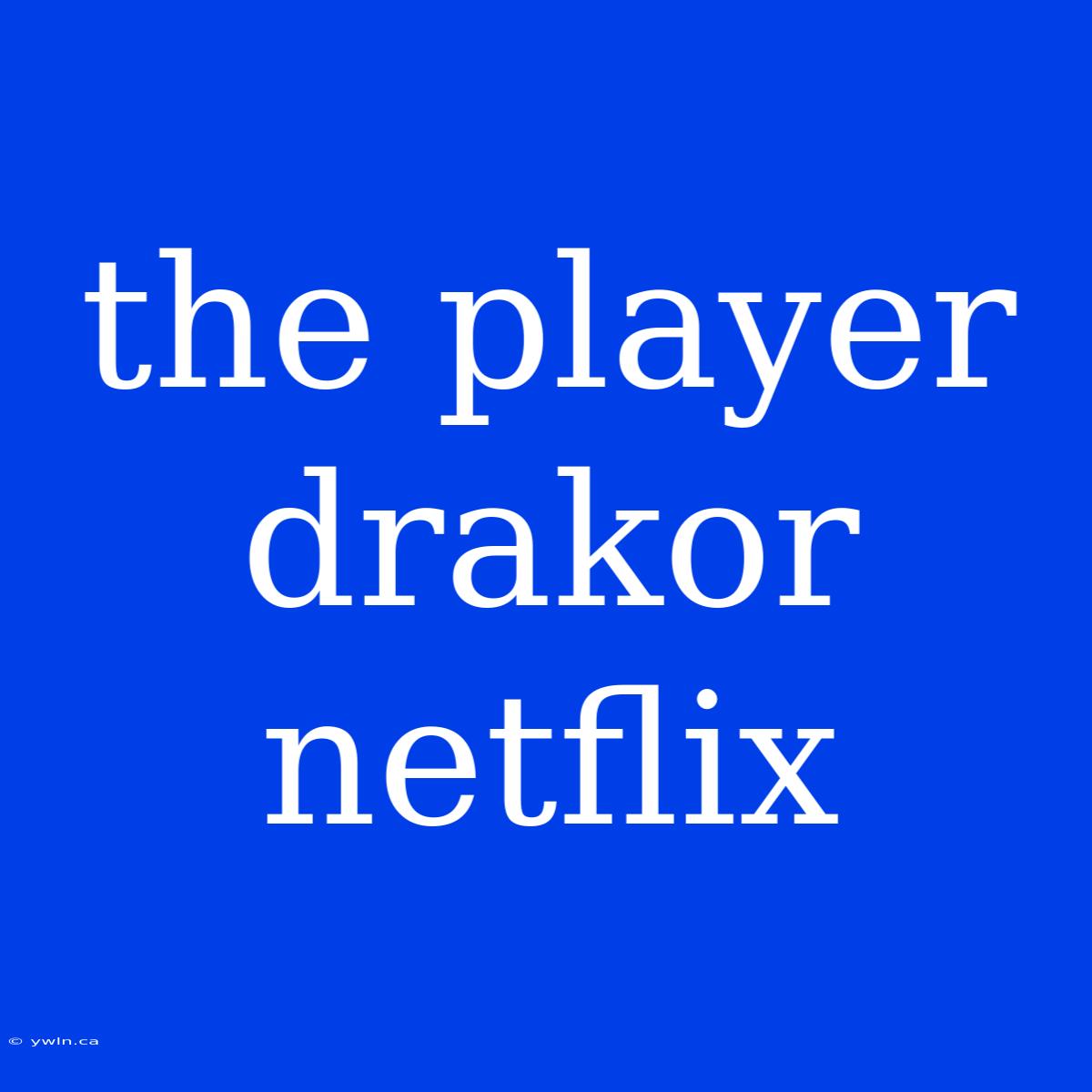 The Player Drakor Netflix